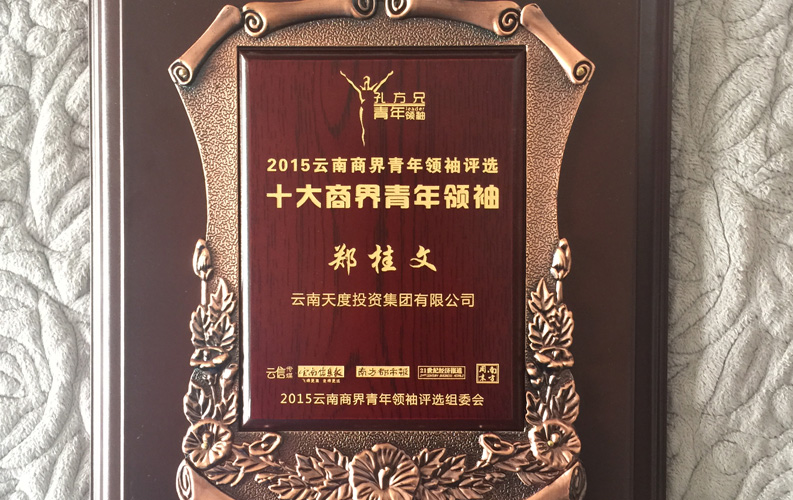 在“互聯網大時代”的背景下，天度作為本土很大和很有名的互聯網服務企業，為近萬家傳統企業轉型互聯網+提供了服務和幫助，獲此獎項后，我們將再接再厲，創造更高的社會價值